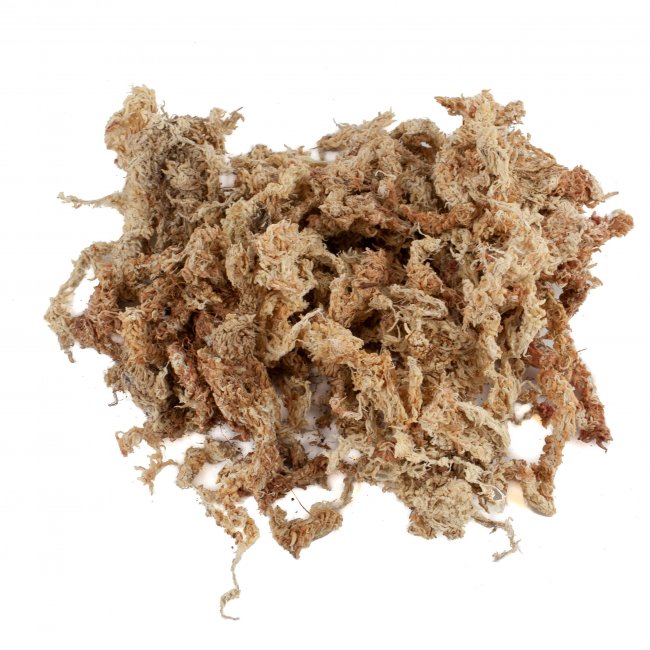 Dried Sphagnum moss from Chile 500g